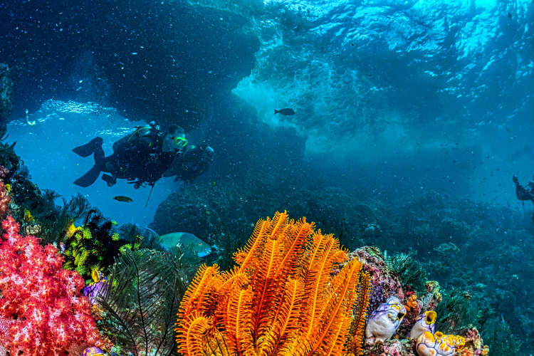 Ga jij mee op duikvakantie?